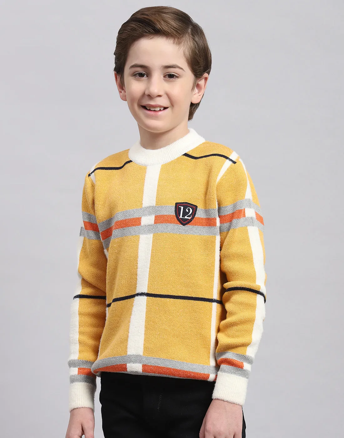 Boys Mustard Check Round Neck Full Sleeve Sweater