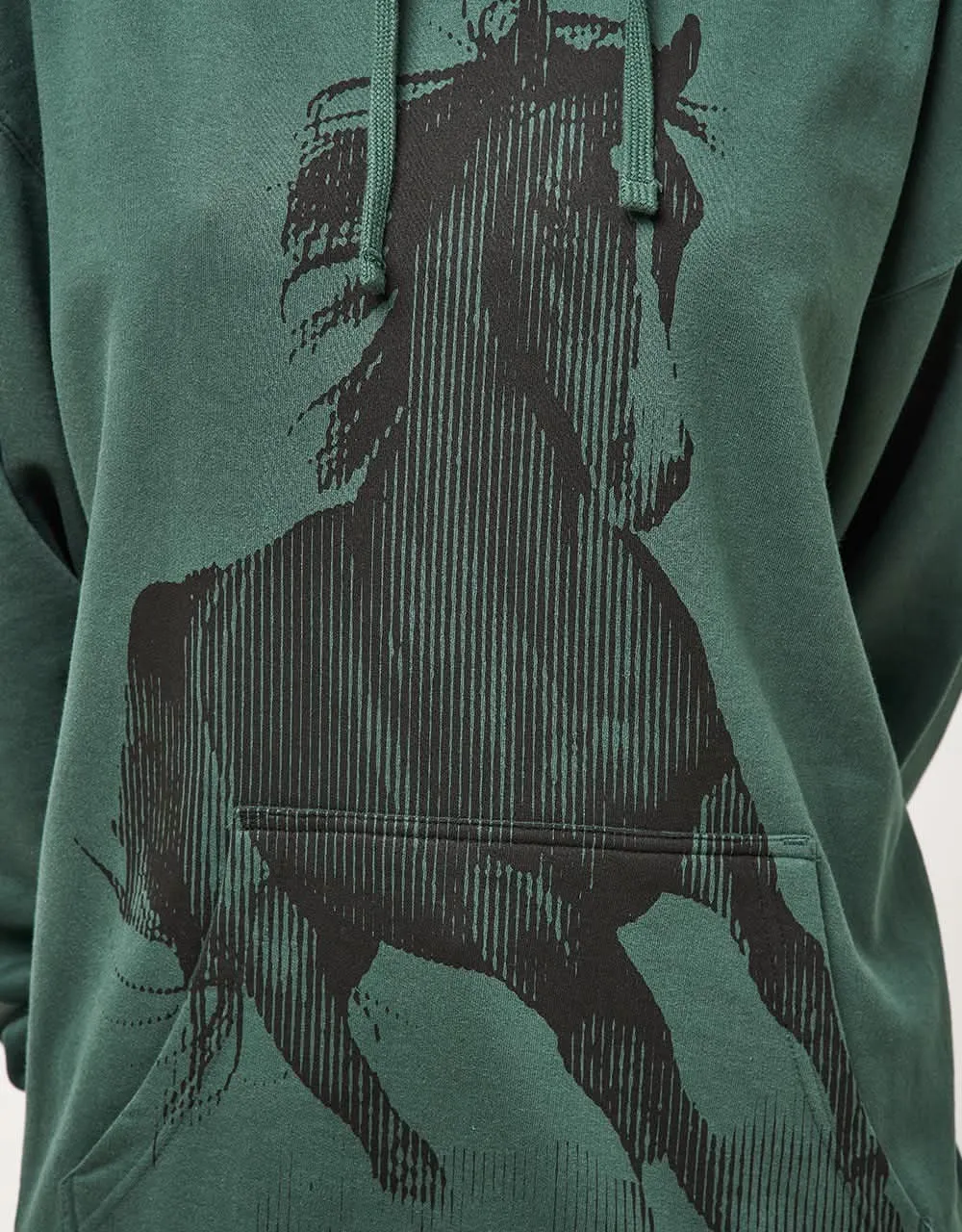 Jacuzzi Horse Pullover Hoodie - Alpine Green