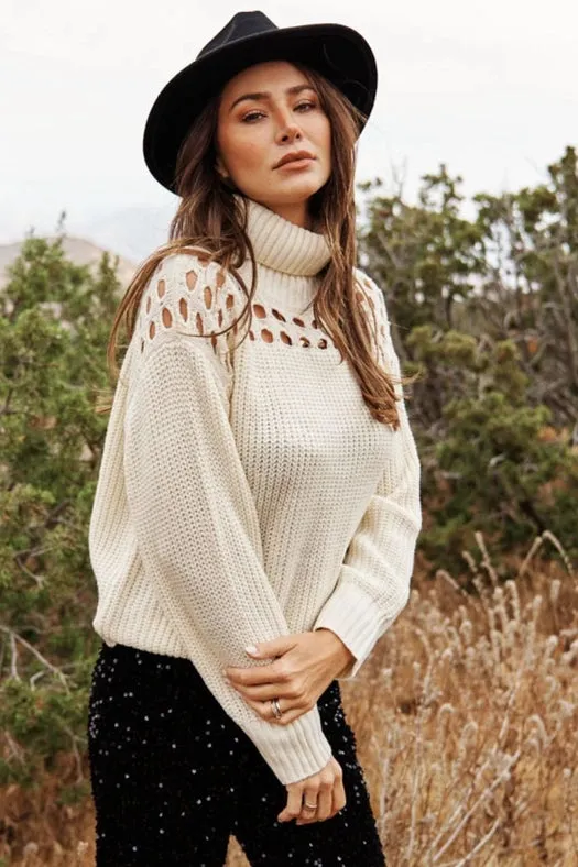 Turtleneck Knit Sweater